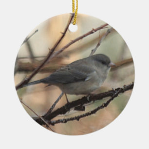 Rond En Céramique Ornement avec le Junco