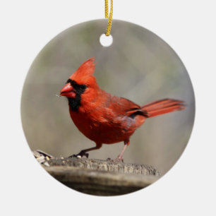 Rond En Céramique Ornement cardinal