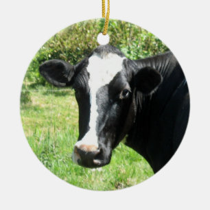 Rond En Céramique Ornement curieux de vache