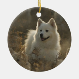 Rond En Céramique Ornement de chien de Samoyed