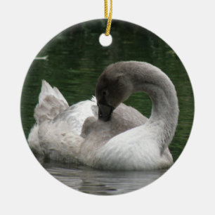 Rond En Céramique Ornement de cygne endormi