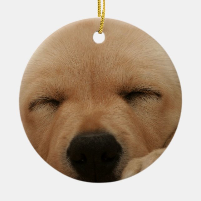 Rond En Céramique Ornement de golden retriever de sommeil (Devant)