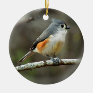Rond En Céramique Ornement de mésange tuftée