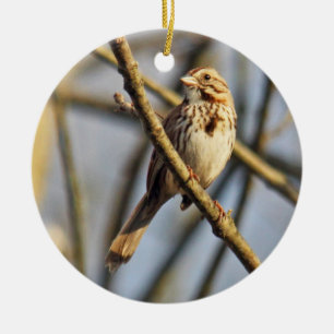 Rond En Céramique Ornement de moineau de chanson
