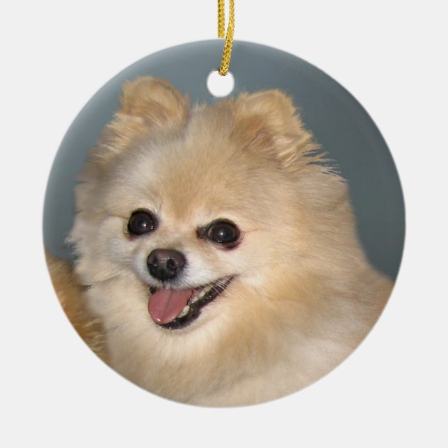 Rond En Céramique Ornement de Pomeranian (Devant)