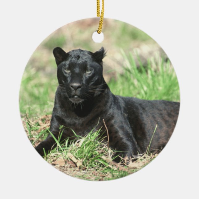 Rond En Céramique Ornement de repos de puma (Devant)