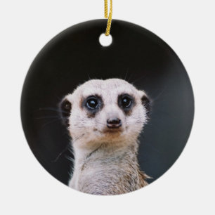 Rond En Céramique Ornement de surveillance de Meerkat