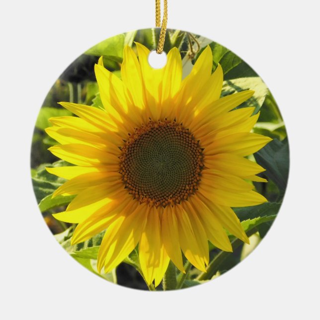 Rond En Céramique Ornement de tournesol Sassy (Devant)