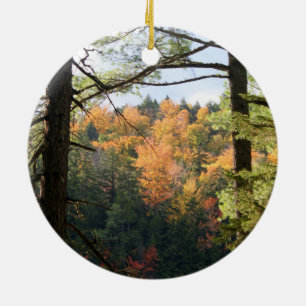 Rond En Céramique Ornement du New Hampshire 7729