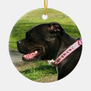 Rond En Céramique Ornement noir de pitbull