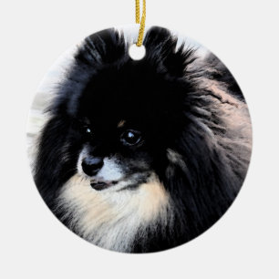 Rond En Céramique Ornement noir et bronzage de Pomeranian