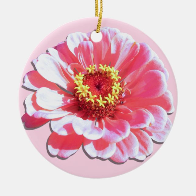 Rond En Céramique Ornement - Zinnia rose (Devant)