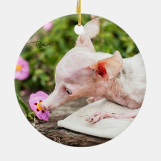 Rond En Céramique Tout ornement de photo de Rosie