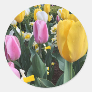 Rond Joyeux Sticker pour tulipes Jaunes de Pâques