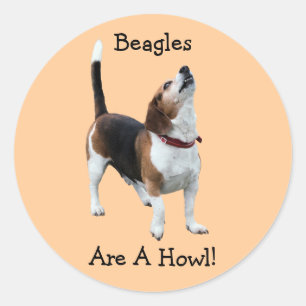 Rond Les beagles Sont Un Sticker Drôle De Chien Howny