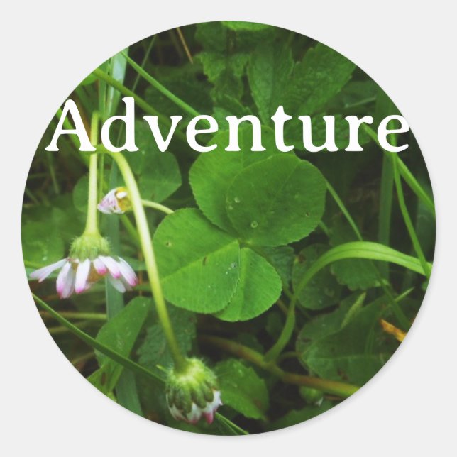 Rond Lucky Charm Sticker  (Devant)