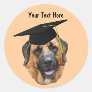 Rond Mastiff En Graduation Cap Funny Chien Sticker