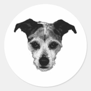 Rond Mélange Terrier Recherche Portrait Sticker