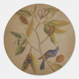 Rond Oiseau bleu ~ Sticker Nature Floral Vintage