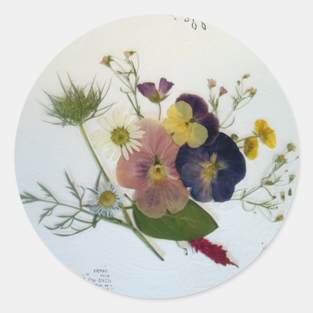 Rond Pansy Bouquet Sticker (Devant)