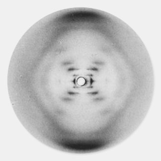 Rond Photo 51 par Rosalind Franklin | Sticker ADN