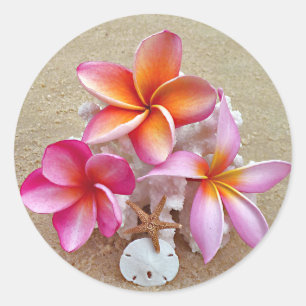 Rond Plumeria et coquillages sur Sticker Sandy Beach