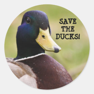 Rond Sauvons Le Sticker Canards