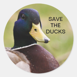Rond Sauvons Le Sticker Canards