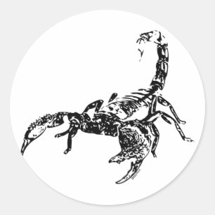 Rond Scorpion - Sticker