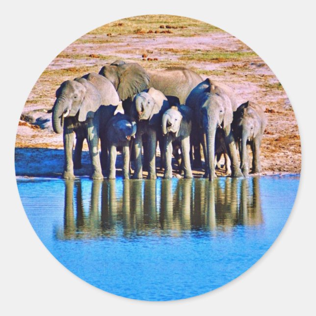 Rond Sticker (Devant)