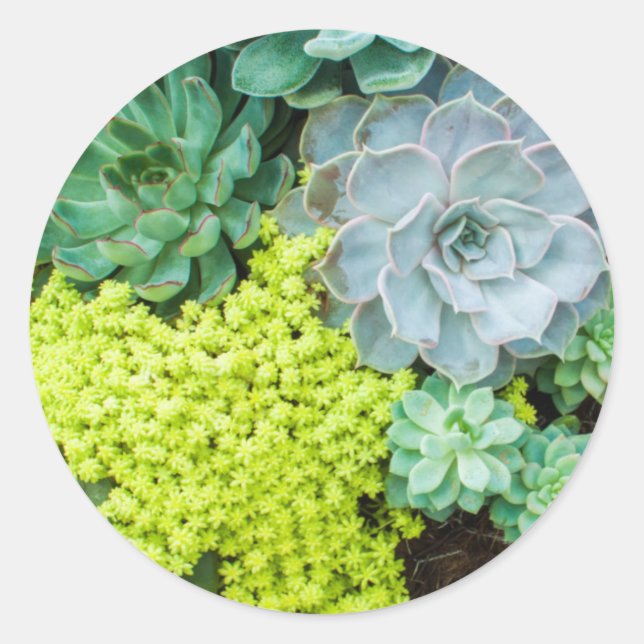 Rond Sticker (Devant)