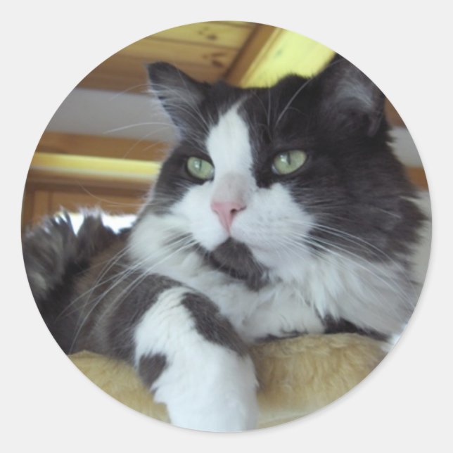 Rond Sticker (Devant)