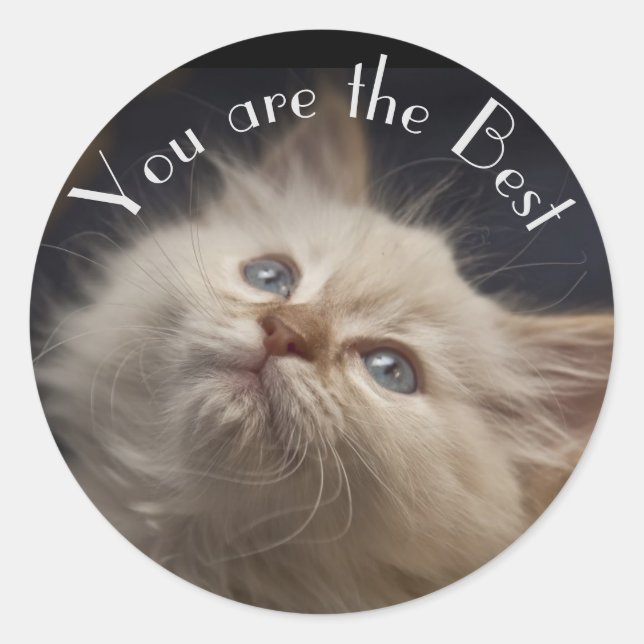 Rond Sticker (Devant)