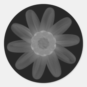 Rond Sticker