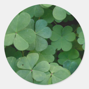Rond Sticker