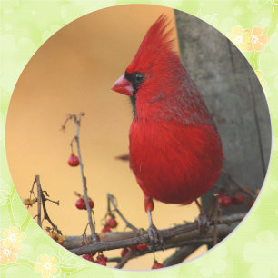 Rond Sticker à enveloppe cardinale rouge