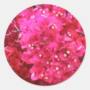 Rond Sticker à fleurs Bougainvillea