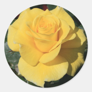 Rond Sticker à fleurs de rose jaune