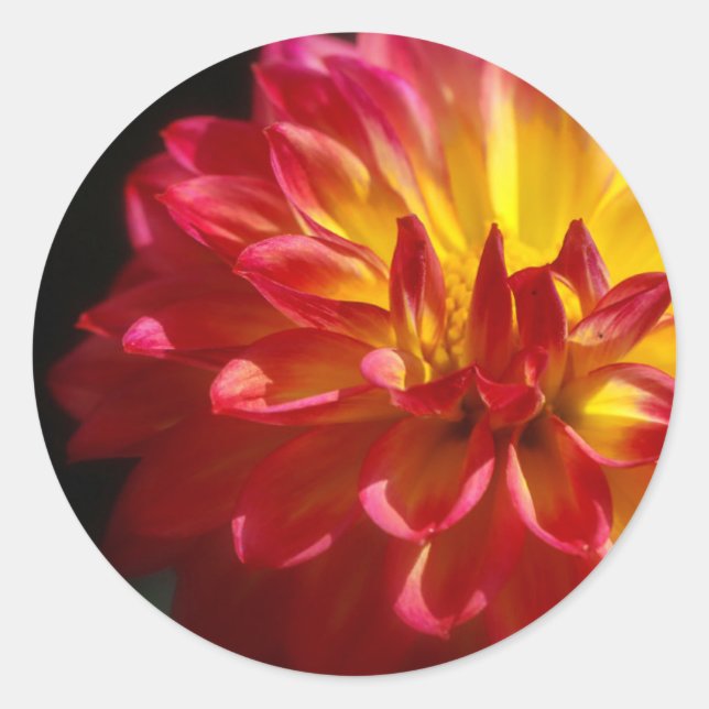 Rond Sticker à fleurs dynamique (Devant)
