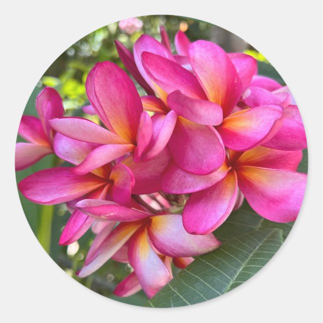 Rond Sticker à fleurs tropicales (Devant)