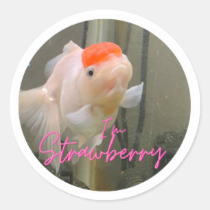 Rond Sticker à la fraise The Goldfish