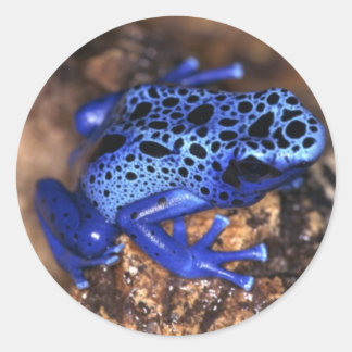 Rond Sticker à la grenouille