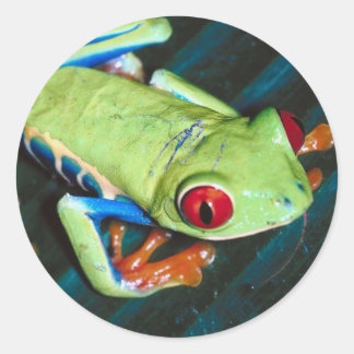 Rond Sticker à la grenouille