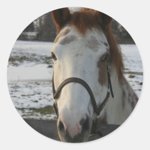 Rond Sticker à peinture