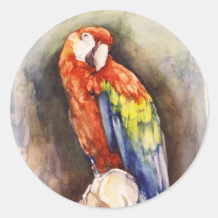Rond Sticker à perroquets précieux