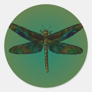 Rond Sticker à puces de l'escadre de septembre