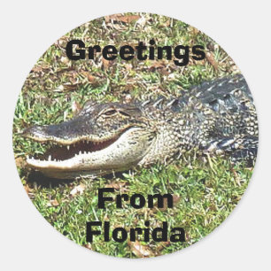 Rond Sticker Alligator Floride Salutations De Floride