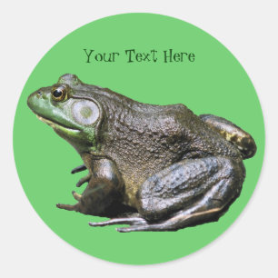 Rond Sticker animal Big Old Bullfrog