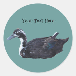 Rond Sticker animal de ferme de canard noir mignon