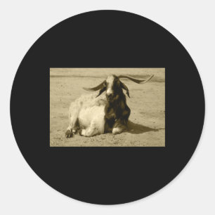 Rond Sticker Benidorm Tint Myotonic Chèvre Relaxé